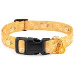 Handmade Dog Collars