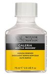 Winsor and Newton Galeria 75ml Acrylic Varnish Remover