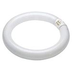 T9 Circular Flourescent Tube 32W - Colour Cool White- 840 - T9 G1OQ