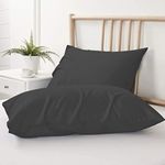 Day Care 400 TC Super Soft 100% Egyptian Cotton Pillow Covers 20"x30" | Machine Washable Cotton Pillow Covers | Breathable & Hypoallergenic Fabric Set of 2 | 20x30 inch - Black