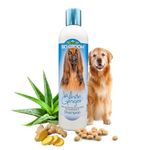 Bio-Groom White Ginger Tear-Free Dog Shampoo with Natural Fragrance – Sulfate-Free Gentle Coat Cleanser for Soft Clean Dogs, 355 ml