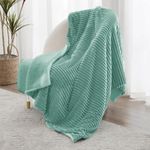 BSB HOME Pencil Pattern Flannel Fleece Sherpa Blanket 220 X 150 Cm, Soft, Plush, Fluffy Season/Ac and Mild Winter Reversible Blanket - Single Bed (Mint Green, Weight - 1.6 Kg), 300 TC