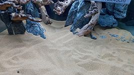 PREMIER PLANTS Aquarium Sand, Super Natural for Aquarium Landscaping, Sand for Plant Tank, Fine Grain Natural Color River Sand for Freshwater/Blackwater Biotope Tank (2 Kg)