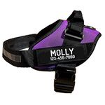 Personalized No Pull Dog Harness with Custom Name and Phone Number, Heavy Duty Medium Large Pet Vest to Prevent Tugging, Pulling, or Choking, Training and Walking