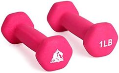 LIONSCOOL Neoprene Coated Dumbbell Weights (Rose Pink 1lb Pair)