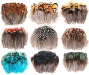 MWOOT 9 Styles Assorted Crafts Feathers, 180Pcs DIY Dreamcatcher Crafts Art Decor Feathers, DIY Earring Wings Carnival Party Mask Activities Project Accessories Small Feather - Mixed Green Blue Brown