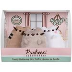 Spinmaster - Pusheen Family Collector 3Pc Box Set