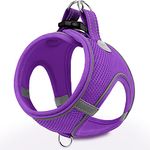 Joytale Step in Dog Harness,Soft Mesh Reflective Breathable Vest Harnesses,Easy Walk Harness with Safety Buckle for Cat,Puppies and Extra Small Dogs,XXS,Purple