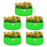 Anandi Green's HDPE Uv Protected 260 GSM Round Green Colour Plants Grow Bags Suitable for Terrace and Vegetable Gardening Size 12x6 Inch Pack of 5 Grow Bags