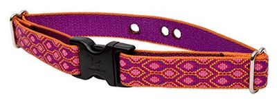 LupinePet Originals 1" Alpen Glow 16-24" Containment Collar Strap for Medium and Larger Dogs