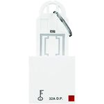 Anchor by Panasonic Polycarbonate Roma D.P. Main Switch With Pc Keyring Tag 2 Module 21770, White, 32 Amp 240V (White)