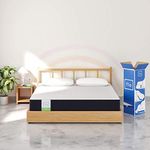 Flo Polyurethane Foam Ortho Mattress Aloe Vera Infused Orthopedic Mattress With Pain Release Technology Medium Firm Feel 4 Inch Mattress In Queen Size (78X60X4 Inches) 10 Year Warranty