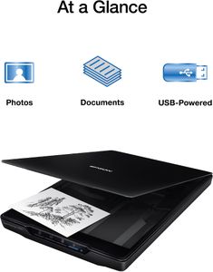 Epson Perfection V19 II Flatbed Scanner – High-Resolution USB