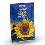 Jamieson Brothers® Tallest Sunflower Seeds (Approx. 18 Seeds) - Grow Beautiful Flowers at Home Or at The Allotment to Attract Pollinators and Add Colour and Fragrance