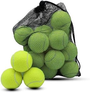 Swingers Tennis Balls，20 Pack Training Tennis Balls,Exercise Balls for Pet Dog, High Elasticity Practice Tennis Balls for Beginner, with Mesh Carry Bag Easy to Transport (Yellow)