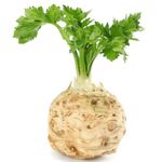 Welldales 100 Giant Celeriac Seeds UK Heirloom Prague Celery Root Hardy Garden Vegetable