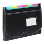 Storite 13 Pockets A4 File Organiser for documents, Expanding File Folder Letter Size Paper Document Storage with Coloured Tags for Office and School (33 * 24cm)