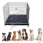 JAINSONS PET PRODUCTS Heavy Duty Dog Crate Strong Metal Large Dog Cage 49 Inch Available Only Single Door Cage (49X36.5X53 In, Black)