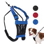 Dog Harness - No pull and No choke humane Design, Non Pulling Pet Harness with Mesh vest, Easy Step-in Adjustable Mesh Harness for control, Blue, Medium by Sporn