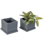 MyGift 5-inch Gray Cement Indoor Plant Pot with Drainage, Mini Square Succulent Planter Includes Removable Tray, Set of 2