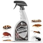 Effective Insect Killer Spray 650ml for All Life Stages - Indoor & Outdoor Use, HSE Approved, Targets Ants, Fleas, Flies & More, Provides 3-Month Protection