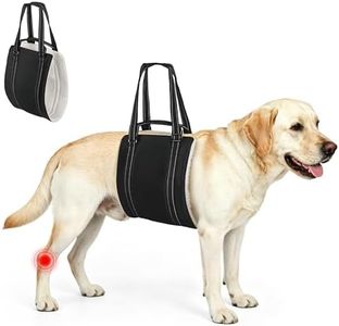 yingphia Adjustable Dog Lift Harness for Large & Medium Sized Dogs, Heavy Duty Support Sling with Dual Handles for Stairs,Cars,Walking, Plush Padded Mobility Aid for Senior Dogs (Black, XL)