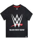 WWE Boys World Wrestling Entertainment T-Shirt Black Age 3 to 4 Years