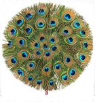 Forty Wings 1 Pcs Beautiful Real Natural Mor Pankh Peacock Feather Fan (12 x 18 inch) for Home Decorations