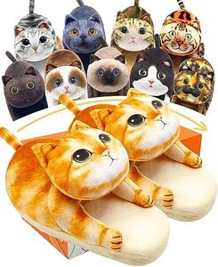 Cute Cat f