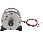 12V 250W Mini DC Motor High Torque Gear Synchronous Wheel Mechanical Power Motor for Electric Scooter Electric bike