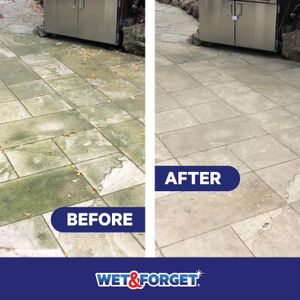 Wet & Forget Outdoor Patio Cleaner 5L – Mould, Algae & Black Spot Remover