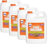 Pondworx Pond Bacteria - Formulated