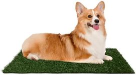 Artificial Grass Puppy Pee Pad for Dogs and Small Pets - 20x25 Reusable 3-Layer Training Potty Pad with Tray - Dog Housebreaking Supplies by PETMAKER,Green