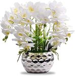 Faux Orchid Artificial Flowers with Silver Ceramic Vase, Artificial Plants for Home Table Decor Indoor