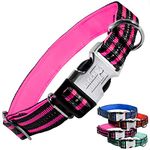 Black Rhino - The Hybrid Striped Dog Collar (Large) for Medium Large Breeds | Heavy Duty | Soft Padded Neoprene - Reflective & Adjustable - Matching Leashes Sold Separately