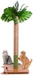 Cat Scratching Post, 27.5" Tall Scratch Tree with Premium Sisal Rope, Two Interactive Dangling Balls and Spring Ball Toys for Indoor Kittens and Cats