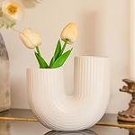 Vipush Ceramic Vase for Modern Home