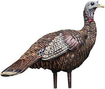 Avian X LCD Lookout Hen Lifelike Collapsible Turkey Gobbler Hunting Decoy w/ Carbon Stake, Carry Bag, & Storage Compression Strap