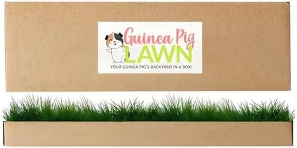 DoggieLawn Guinea Pig Fresh Grass Lounging Mat - Real Living Grass for Small Pets - Natural Enrichment for Guinea Pigs, Hamsters, Small Animals - Indoor/Outdoor Disposable Grande 24x9 Inch