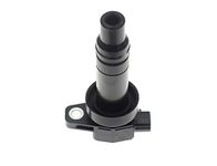 Auto-Ex IGNITION COIL Compatible/Replacement for Verna Old