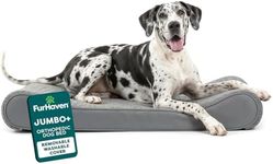 Furhaven Orthopedic Dog Bed for Lar