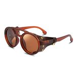 FEISEDY Retro Round Steampunk Sunglasses Women Men Vintage Eyewear Light Plastic Frame with Leatherwear B2532, Brown, 48mm