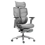 HINOMI X1 High-end Ergonomic Office Chair with 3D Adjustable Lumbar Support/ 4 Panel Backrest/ 6D Armrest and Legrest (Grey, Large)