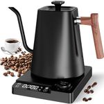 Electric Gooseneck Kettle, Coffee and Teapot, Stainless Steel Temperature Control Kettle, Quick Heating Variable Temperature Kettle, 1 litre