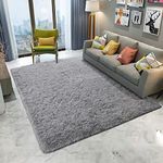 DETUM Grey Rug 6x9 Feet - Fluffy Gr