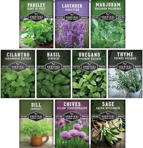 10 Herb Seeds Collection - Variety Pack to Grow Basil, Chives, Cilantro, Dill, Lavender, Marjoram, Oregano, Parsley, Sage & Thyme Herb Plants - Non-GMO Heirloom Seed Varieties - Survival Garden Seeds