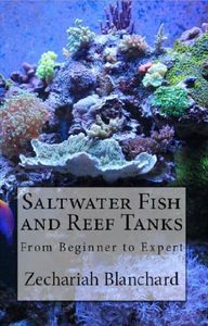 Saltwater Fish and Reef Tanks: From Beginner to Expert