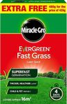 Miracle GRO Evergreen Fast Grass Lawn Seed 480g with a Thank You Sticker - Fsst Grass Lawn Seed - Fast Germination