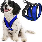 Gooby Choke Free Comfort X Soft Dog Harness, Medium, Blue