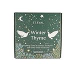 St Eval Christmas Winter Thyme Tealights - Wax - Pack of 9 - Home Decor & Office Fragrance - Gift